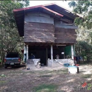 ขายบ้านพร้อมที่ดินและสวนยาง อำเภอกุดจับ จังหวัดอุดรธานี เนื้อที่ 2 ไร่ 2 งาน 33 