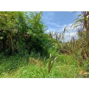 ขายที่ดิน 198 ตร.ว. ถนนสุขุมวิท 107 ซอยแบริ่ง 58 แยก 6 อยู่ด้านหลัง รร.เซนโยเซฟบ