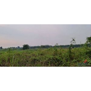 ฝากทรัพย์ดีดีไว้ให้พิจารณานะคะ ขาย ที่ดินติดแม่น้ำน่าน ที่สวยติดแม่น้ำน่าน ชุมแส