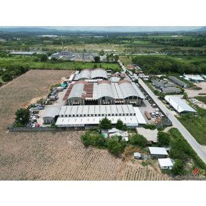 ขายโรงงานพร้อมที่ดิน ชลบุรี บ้านบึง 47-3-48 ไร่ พร้อมใบ รง.4 พื้นที่ EEC ใกล้ถนน