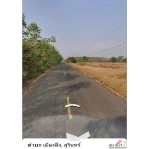 ขายที่ดิน 13 ไร่ อ.จอมพระ จ.สุรินทร์