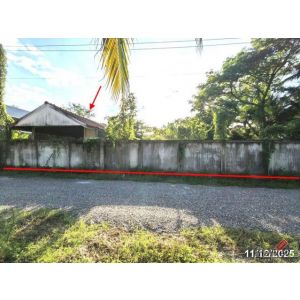 ขายโกดัง เชียงใหม่ ถนนสายบ้านทุ่งอ้อ-บ้านมะจำโรง ตำบลสันกลาง อำเภอสันป่าตอง