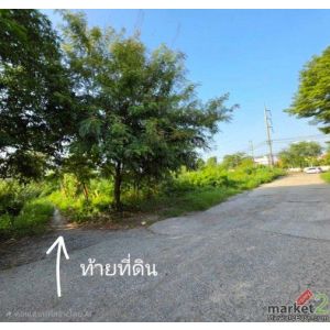 ขายที่ดินปทุมธานี แปลงมุม อำเภอเมือง ถนนปทุมธานีสายใน