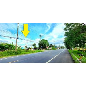 ขายที่ดินติดถนนลาดยางเรียบคลอง10หนองเสือ ใกล้อำเภอหนองเสือ วิวคลอง ติดถนน 2 ด้าน
