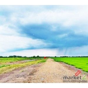 ขาย ที่ดิน ที่ทำเกษตร4.5แสนต่อไร่ บ้านนา นครนายก ใกล้กับ คลอง30 อำเภอบ้านนา 9000