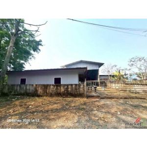 ขายโกดัง เชียงใหม่ ถนน บ้านป่าลาน-บ้านป่าฝาง ตำบลป่าลาน อำเภอดอยสะเก็ด