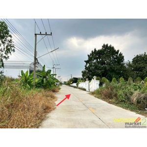 ขายบ้านเดี่ยวปทุมธานี อำเภอคลองหลวง ถนนเลียบคลอง 2 ฝั่งตะวันออก