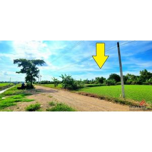 ขายที่ดิน คลอง 12 หนองเสือ 200 ตรว ติดถนน 8 ม. เหมาะปลูกบ้านสวน ทำเกษตรพอเพียงได