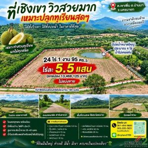 ขายที่เชิงเขาวิวสวย 24 ไร่กว่า ต.เขาเพิ่ม อ.บ้านนา จ.นครนายก สายสวนต้องดู เหมาะป