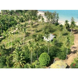 ขายด่วน! ที่ดินติดหาดส่วนตัว (Beachfront) อ.สิชล จ.นครศรีธรรมราช 5 ไร่ กว่าโฉนดค