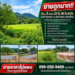 ขายถูกมาก!! ที่ดิน 3 แปลง 21ไร่ 30ไร่ 43ไร่ บนทำเลทอง อ.สันกำแพง เชียงใหม่