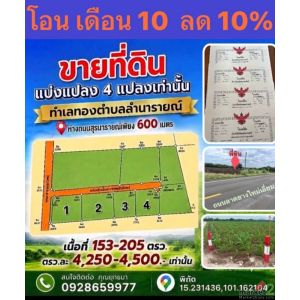 ขายที่ดินตำบลลำนารายณ์ อำเภอชัยบาดาล จังหวัดลพบุรี เริ่มต้น153 ตรว-205ตรว.โฉนดคร