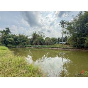 ขายที่ดินบ้านโค้งดารา หนองขาม ศรีราชา แปลงสวย ติดลำธารธรรมชาติ FP-L02443 