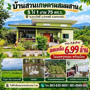 ลดเกือบล้าน บ้านสวนเกษตรผสมผสาน 5 ไร่กว่า ใกล้ตัวเมืองนครนายกเพียง 7 กม. บรรยากา