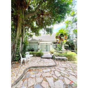 BTSปุณณวิถี220ม. ปุณณวิถี 5-13 ใจกลางสุขุมวิท 101 บ้านเดี่ยวและ Glasshouse 5นอน 