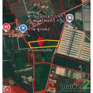 ขายที่ดินหนองอิรุณชลบุรี ที่ดินเนินโมก 10 ไร่ ต.หนองอิรุณ อ.บ้านบึง จ.ชลบุรี พื้