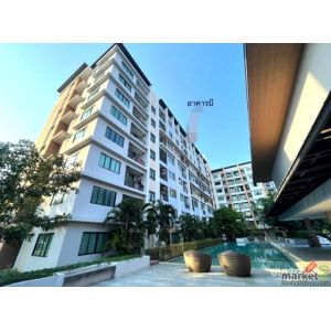 ขาย คอนโด จี คอนโด ซอยศรีราชา-หนองยายบู่ 20 ถนนศรีราชา-หนองยายบู่ ชลบุรี