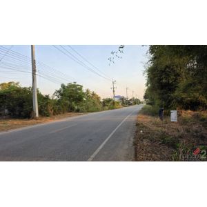 ขายที่ดิน 6 ไร่ 2 งาน 80 ตร.วา มีโฉนด ติดถนนลาดยางมะตอย อ.วังทอง จ.พิษณุโลก