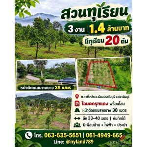 ขายสวนทุเรียนทำเลดี ราคาเบา ๆ ต.ดงขี้เหล็ก อ.เมืองปราจีนบุรี โฉนดครุฑแดง พร้อมโอ