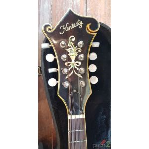 Mandolin (Kentucky) Made In USA.