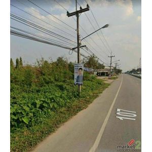 ขาย 10 ไร่  ติดถนนโชตา  แม่ริม ตำบลขี้เหล็ก   เชียงใหม่