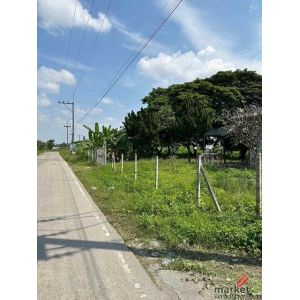 ขายที่ดิน 5ไร่ 41 ตรว  แถวบ้านถวาย  อ.หางดง จังหวัดเชียงใหม่