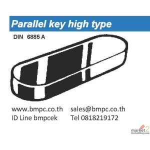 Parallel key, ลิ่ม, สลัก, DIN6885A, ลิ่มล๊อก, Disc spring, Cup spring, Amecoil
