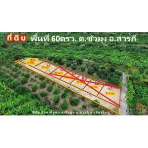 ขายที่ดินแบ่งจัดสรร 60ตรว. ลดเหลือ 294,000บ. ฟรีโอน ถนน น้ำ ไฟฟ้า ใกล้วัดขัวมุง 
