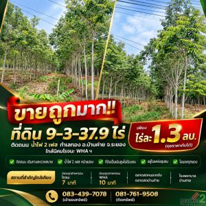 ขายถูกมาก!! ที่ดิน 9-3-37.9 ไร่ ติดถนน น้ำไฟ 2 เฟส ทำเลทอง อ.บ้านค่าย จ.ระยอง