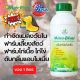 Micro-Blaze จุลินทรีย์สำหรับกำจัดกลิ่นเหม็น ช่วยย่อยสลายสิ่งปฎิกูลและบำบัดน้ำ