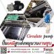 ปั๊มดูดของเหลวหนืด ปั๊มfood grade ปั๊มสแตนเลส stainless pump
