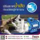 ปั๊มเคมีสูบส่งน้ำเสีย Centrifugal Pump หาซื้อปั๊มสูบส่งเคมี ในกระบวนการบำบัดน้ำเ