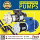 ปั๊มสูบจ่ายเคมีหมุนเวียน Circulation Centrifugal Pump ปั๊มกรด ปั๊มด่าง