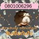 เงินด่วนชลบุรี พัทยา สัตหีบ ระยอง จันทบุรี ปราจีนบุรี ฉะเชิงเทรา ตราด