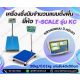 ตาชั่งนับจำนวน30kg ขนาดแท่น40x50cm TSCALE รุ่น CKC  