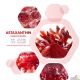 แอสตาแซนธิน, Astaxanthin, ราชาแห่งสารต้านอนุมูลอิสระ, ที่สุดแห่งสารชะลอวัย