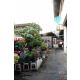 ขาย ที่ดิน 203 ตร.ว. พร้อมสิ่งปลูกสร้าง – ทำเลศักยภาพ เมืองนนทบุรี