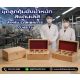 ชุดลูกตุ้มน้ำหนักสแตนเลส 500g Class F1 ใบเซอร์ฯ ISO 17025 สอบถามเพิ่มเติม