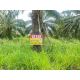 ขายที่ดิน 15 ไร่  เขาคันทรง  ศรีราชา  ชลบุรี  ใกล้ อบต.เขาคันทรง   ZT912