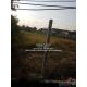 ที่ดิน ขายที่ดินเปล่าถมแล้ว 200 ตร.ว. ติดถนนพุทธมณฑลสาย 1 ราคา 30,000,000 บาท (1