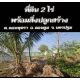 ที่ดิน 2 ไร่ พร้อมสิ่งปลูกสร้าง ทำเลดอนตูม นครปฐม โอกาสสำหรับผู้ที่มองหา ที่ดินพ