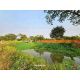 ที่ดินแปลงสวย ติดน้ำ บรรยากาศธรรมชาติ ทำเลดี สันทราย