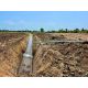 พื้นที่ดิน - ไม่ไกลจาก อบต.ทัพหลวง  เซเว่น ซีเจ ท่ารถตู้69 279000 บาท.  พื้นที่ 