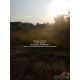 พื้นที่ดิน ขายที่ดินเปล่าถมแล้ว 200 ตร.ว. ติดถนนพุทธมณฑลสาย 1 ราคา 30,000,000 บา
