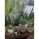 ขายบ้านหมู่ประชานิเวศน์3 อำเภอเมืง จังหวัดนนทบุรี เนื้อที่ 38 ตรว