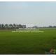 พื้นที่ดิน //ต่ำกว่าราคาประเมิน//ขายที่ดินทุ่งนาข้าว อ.นครหลวง จ.พระนครศรีอยุธยา
