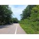 ขายที่ดินสวนยาง  33 ไร่ ชัยเกษม บางสะพาน ประจวบคิรีขันธ์   ใกล้หาดบ้านกรูด เส้นถ