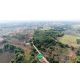 ขายที่ดินพร้อมสวนป่า อำเภอชัยบาดาล จังหวัดลพบุรี เนื้อที่ 14 ไร่