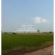รหัส:  DSL-1096 Sale พื้นที่ดิน ขายที่ดินทุ่งนาข้าว ต.ระวิง อ.เมืองเพชรบูรณ์ จ.เ
