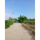 ขายที่ดินเปล่า ทำเลดี อ.ไทรน้อย จ.นนทบุรี          